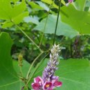 진흥아파트 경로당 이미지