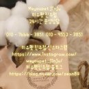 진주강아지분양 고양이분양 미유펫 이미지