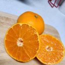 건욱농장 이미지