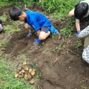 덕산농장2 이미지