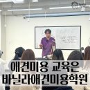 바닐라애견미용학원 - 순천시 중앙로 242-1 | 바닐라애견미용학원