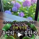 편백로-2 이미지