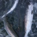 상천낚시터 이미지