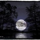 베토벤피아노학원 이미지