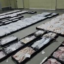 8월 5일(조금물때) 병어, 민어, 덕자, 먹갈치, 풀치, 잡어, 생선 경매 준비 합니다. 이미지