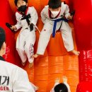 화이트 타이거 태권도 이미지