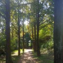 난지천2(잔디매점) 이미지