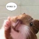 나만의 그린 인테리어 | 전용59 도배장판 100만원대 후기 ::: 화이트인테리어 개나리벽지 KCC숲그린편백