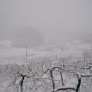 서정농장 이미지