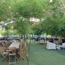 하늘애견 이미지