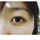 더칼라 이미지