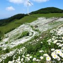 ♡6월12일: 평창 청옥산 (1255m) 육백마지기,산행 안내 이미지