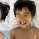 크림개발 네이버블로그