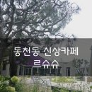 [수지,동천동]테라스가예쁜카페 브런치맛집 동천동카페 고기동신상카페 용인카페 숲뷰카페 르슈슈