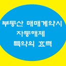 금능부동산공인중개사사무소 이미지