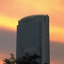 A-ONE-TRADING 이미지