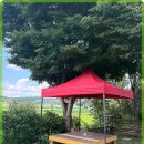 서현민박 | 당진 펜션 서현민박의 완벽한 힐링 공간