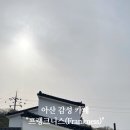 프랭크니스(Frankness) 이미지