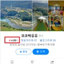 문들길 티스토리