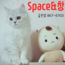 건영세탁 | 문래동커튼 블라인드 건영아파트 설치 다녀 왔어요~