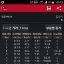 금평천 티스토리