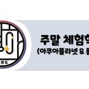 국가대표 별하태권도장 이미지
