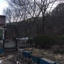 피오레 단양 이미지