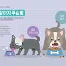 신호동물병원 이미지