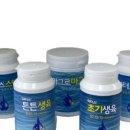 생명나무 이미지