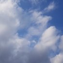 활주로낚시터 이미지