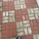 에이오에스 | 시간 순삭 벌써 2월