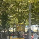 장구도 어촌계 | 태안 바다뷰 캠핑 꾸지나무골 캠핑장:) 매년 가는 노을 맛집 태안 애견동반 캠핑장