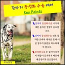 키닥터119 이미지