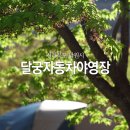 남원태권도장 | 223. 전북 남원 달궁자동차야영장 - 노고단 산행 [1박2일 캠핑]