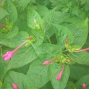 보령댐휴게공원 이미지