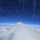 저단53 | [20250623]홍콩 여행 1일차+홍콩 공항+옥토퍼스 카드 수령+비숍 레이 인터내셔널 호텔+카우키 식당+고기...