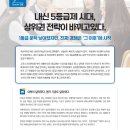 와이즈만교육