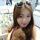 독스앤휴먼 이미지