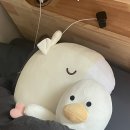 이태원 촛불집