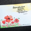 청산중학교 이미지