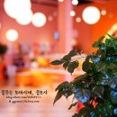 비비(BB)하우스 이미지