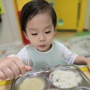 [점심냠냠]맛있게 잘 먹었습니다~🍚🍽🍚 이미지