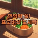 버섯과면역