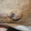 서울앤 동물병원 이미지