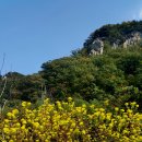 삼회리 강변 자전거길 이미지