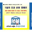KOREA 태권도 이미지