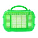 여름곤충 탐구생활 이미지