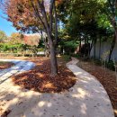 헌릉로757길 이미지