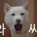 신의주찹쌀순대만수점