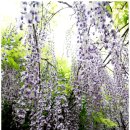 냉천회관 이미지